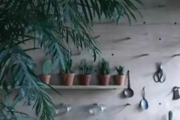 深山老林自建豪华木屋隐居生活,90后小情侣隐居深山建别墅仅花6万