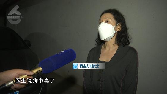 太痛苦了！满地打滚痛苦挣扎口吐白沫后宠物犬死亡昆明一小区接连发生遛狗后狗狗中毒死亡事件
