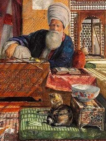 去土耳其当猫好吗,在土耳其做一只幸福的猫