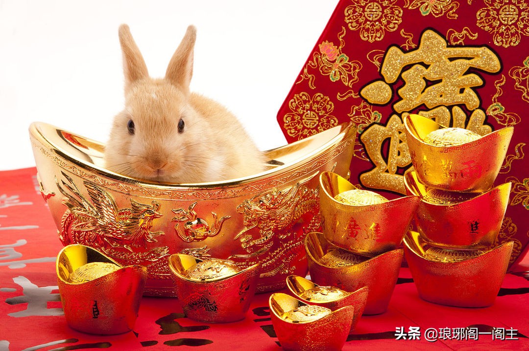 十二生肖老鼠牛虎兔,传统文化十二生肖之兔