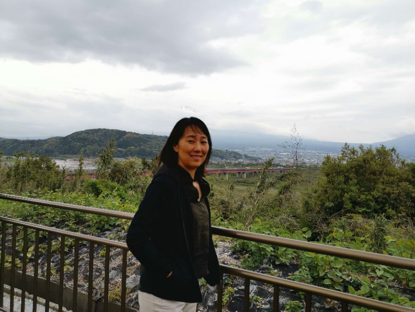 日本钢结构建造全过程,日本著名高层装配式建筑