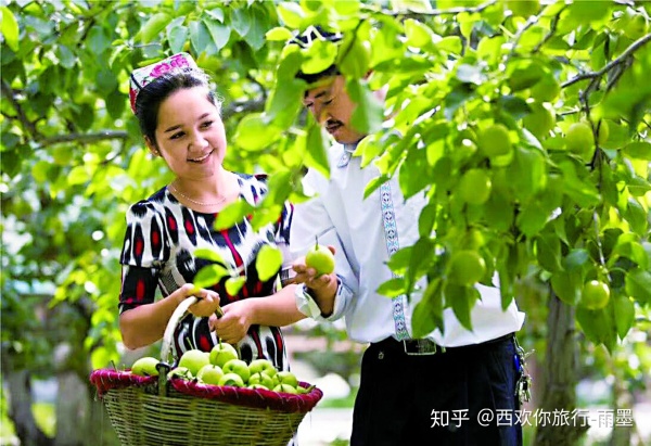 *疆新**瓜果攻略最好的季节配最美味的水果