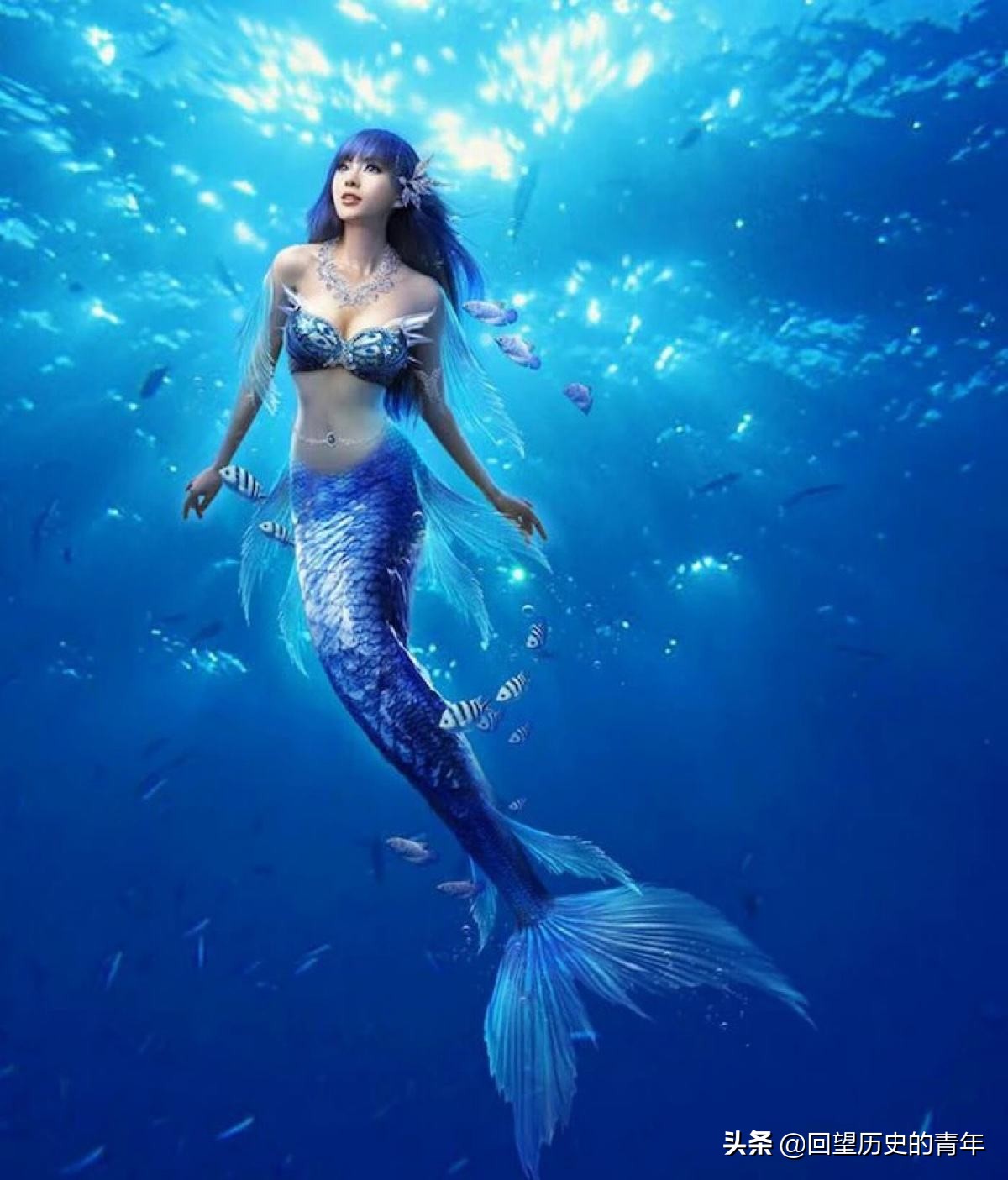 美人鱼等待着人类的发现,其有着怎样的前世今生?