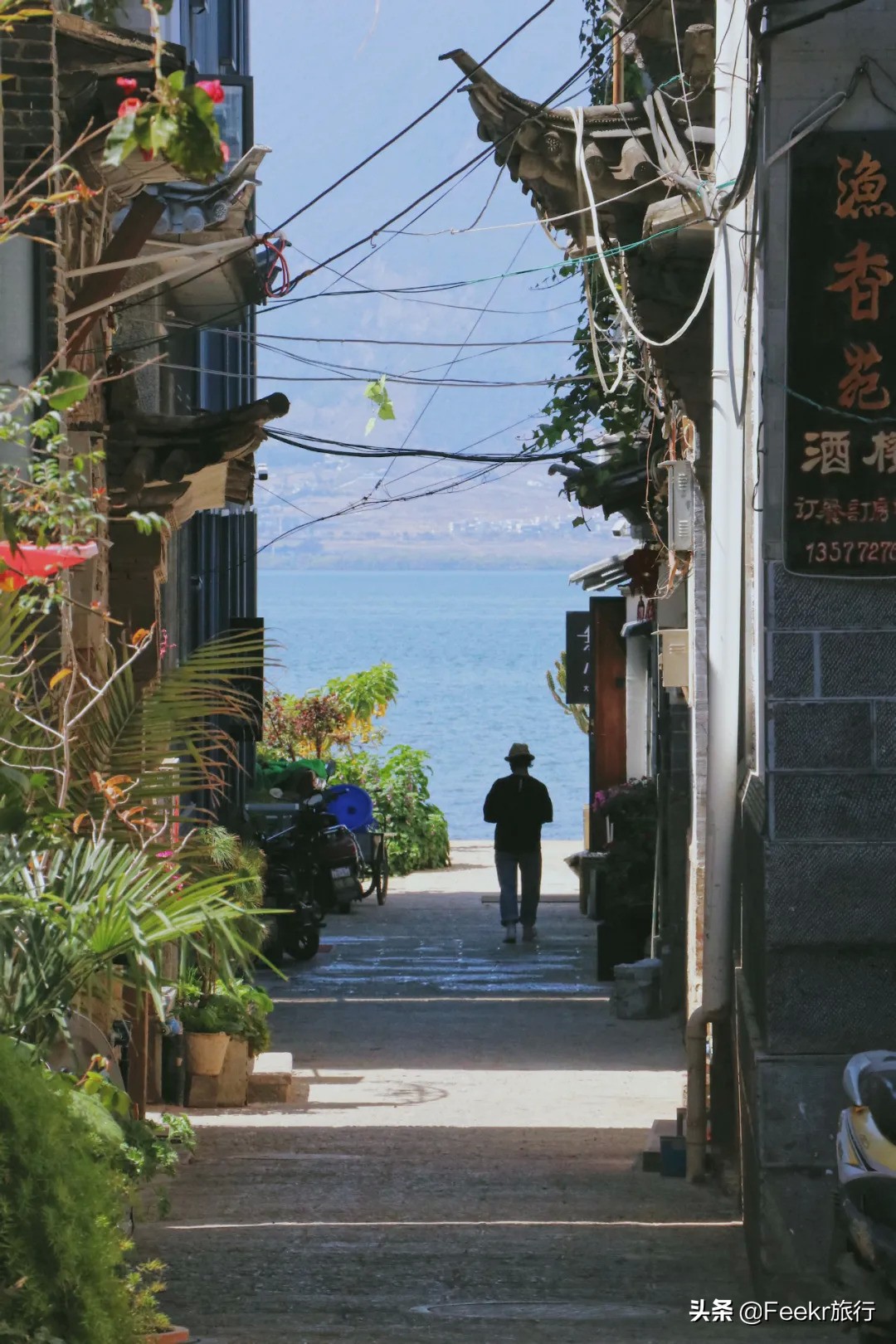挖到了云南人都点赞的“美食线路”!菌子当道,夏季去度假正好
