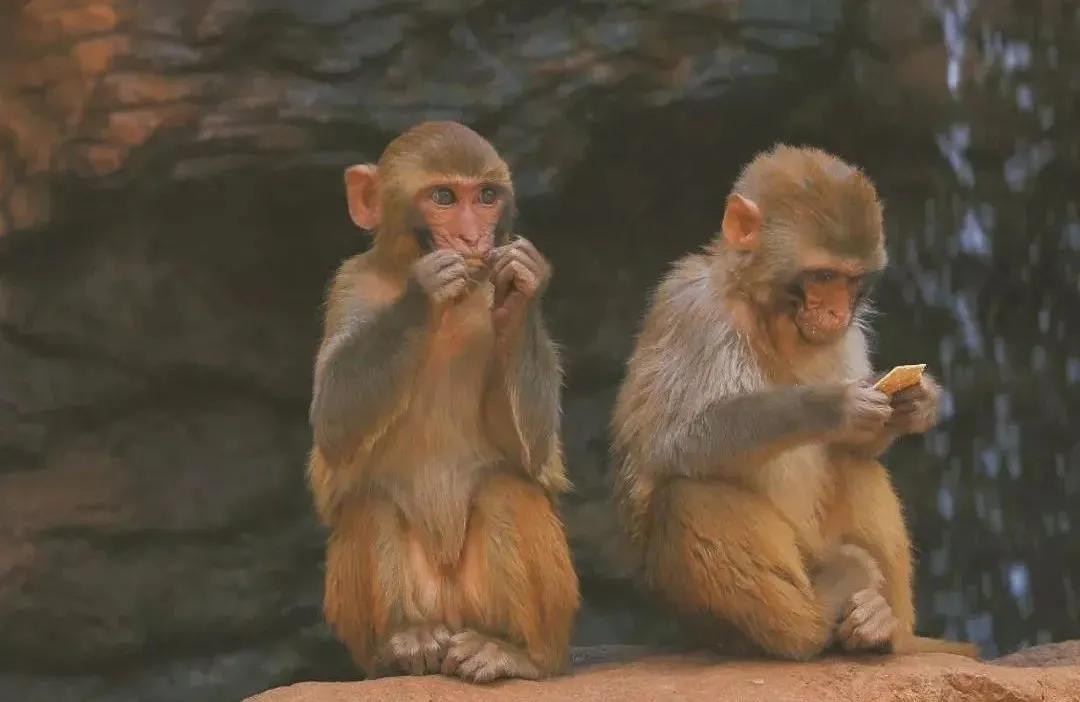 无法离昆,就地过年!昆明亲子游推荐路线重磅来袭!花样过牛年