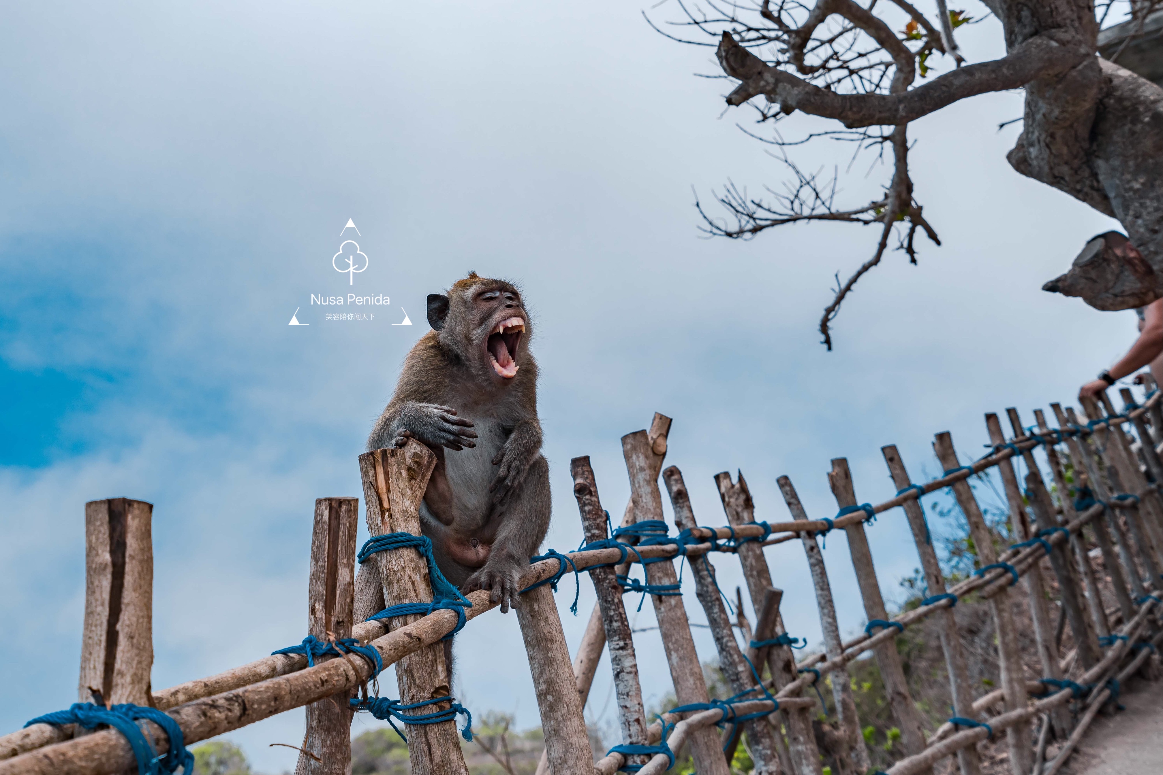 巴厘岛网红打卡地,网红打卡旅游胜地巴厘岛