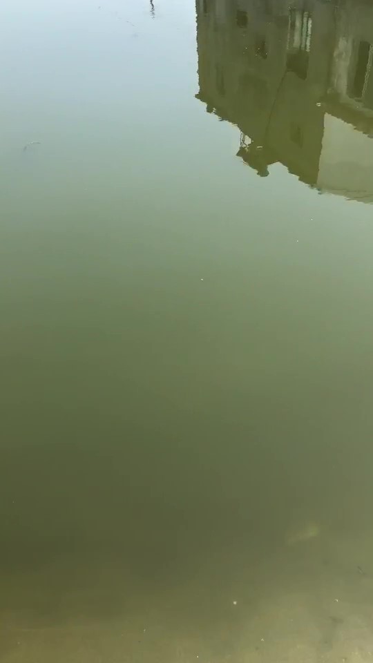 降氨浊水清，一招搞定白浊水