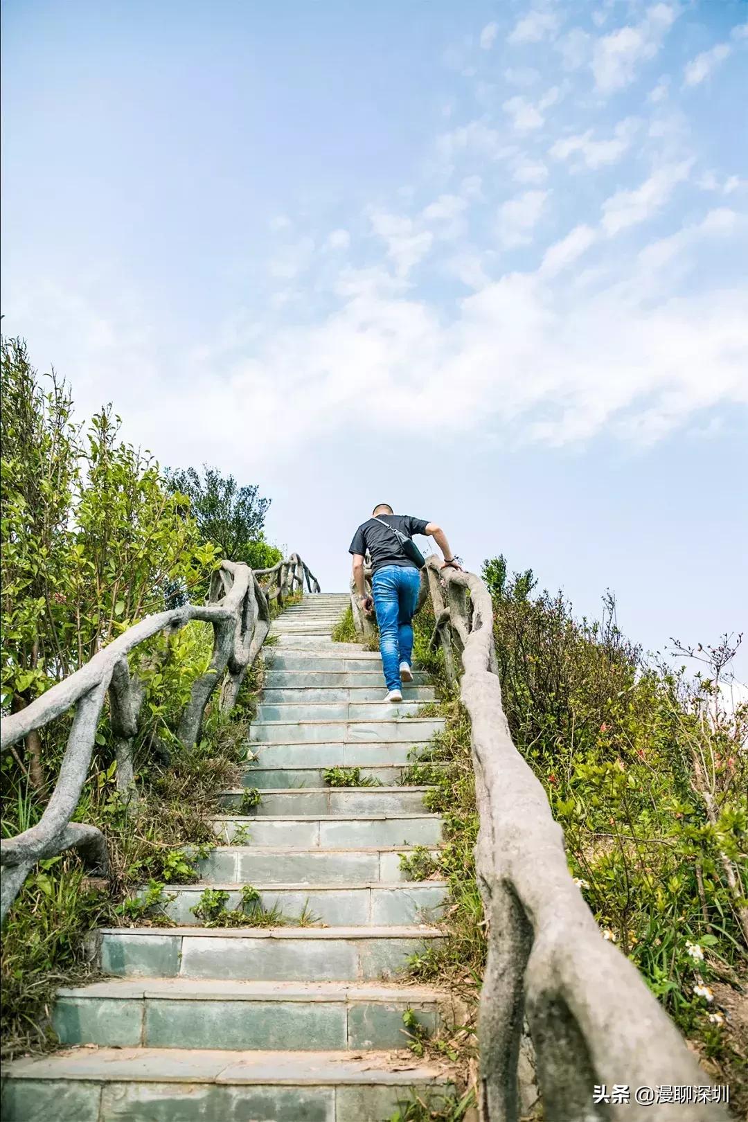 深圳空气中氡含量全国第一,深圳市负氧离子大概是多少