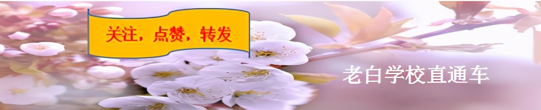 天津最好的六区小学,天津最好的4所学校