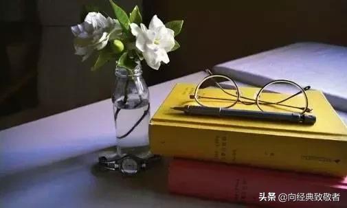 木心谈木心读后感800字,推荐木心文学回忆录