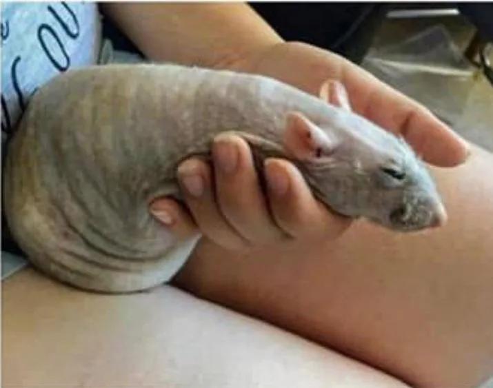 用了十几款约炮软件后，我发现女人更想恋爱，男人却只想*爱做**