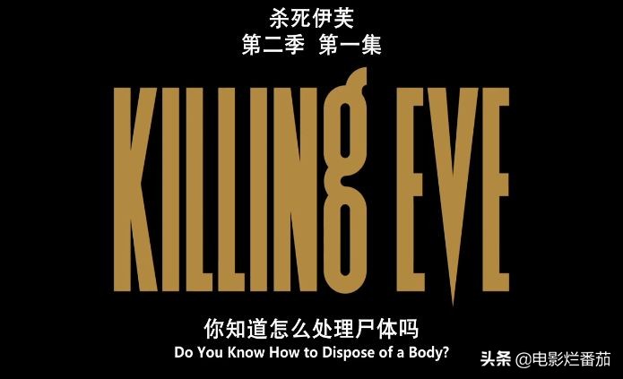 当相爱相杀的变态女主意识到自己是*社会反**人格时,好戏才刚刚开始