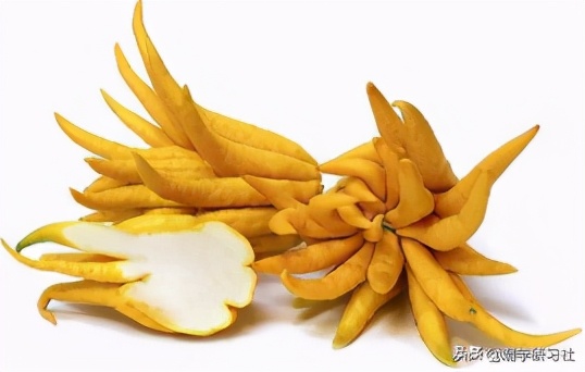 双十一吃土?潮州人这辈子都不可能吃土