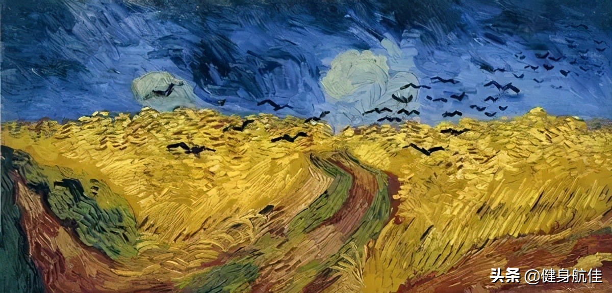 健身知识第二集,健身知识学习合集