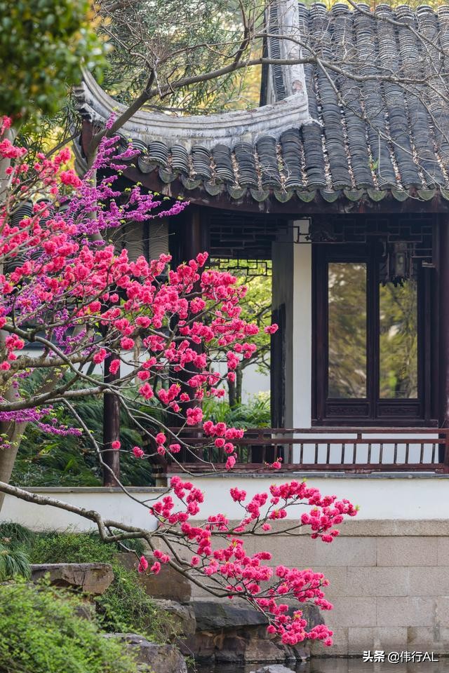 苏州园林之留园中国四大名园之一,苏州园林之美