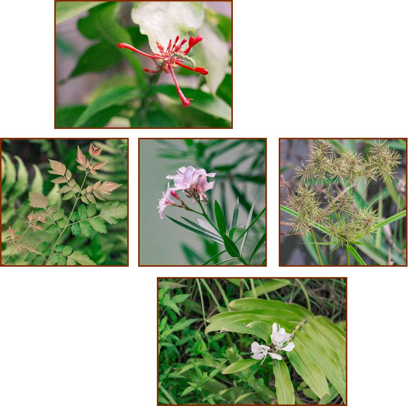 深圳风景最好的岛,深圳有个什么旅游岛