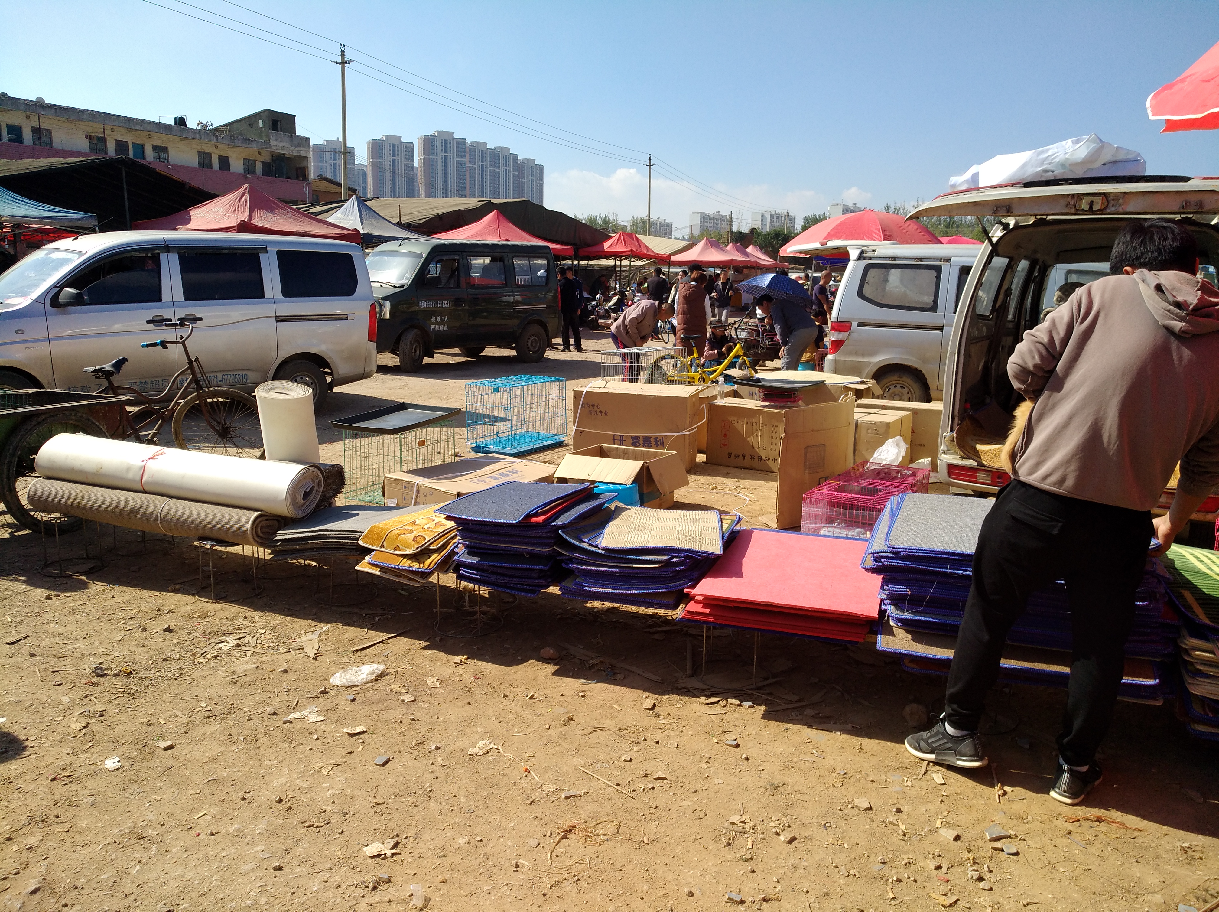 选择正规宠物托运公司,在网上买宠物狗测评可靠吗