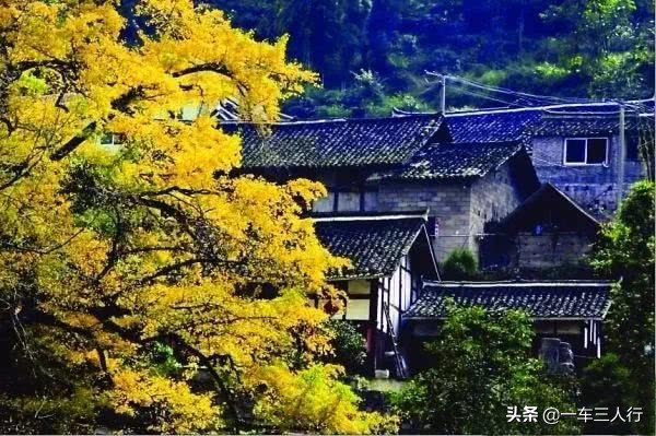 乌当的秋,风情却不张扬