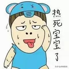 夏日如何防晒降温,夏季车辆车漆防晒推荐