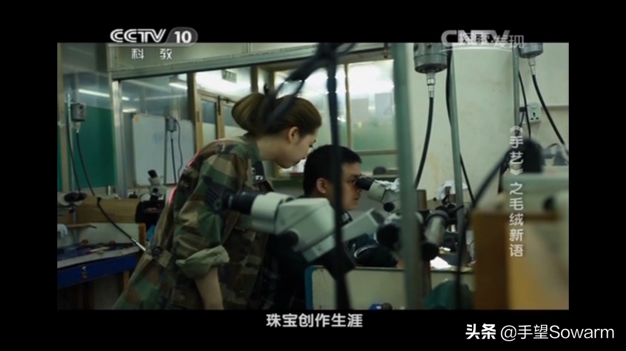 从伯明翰珠宝学院毕业后，她成为“国内羊毛珠宝第一人”