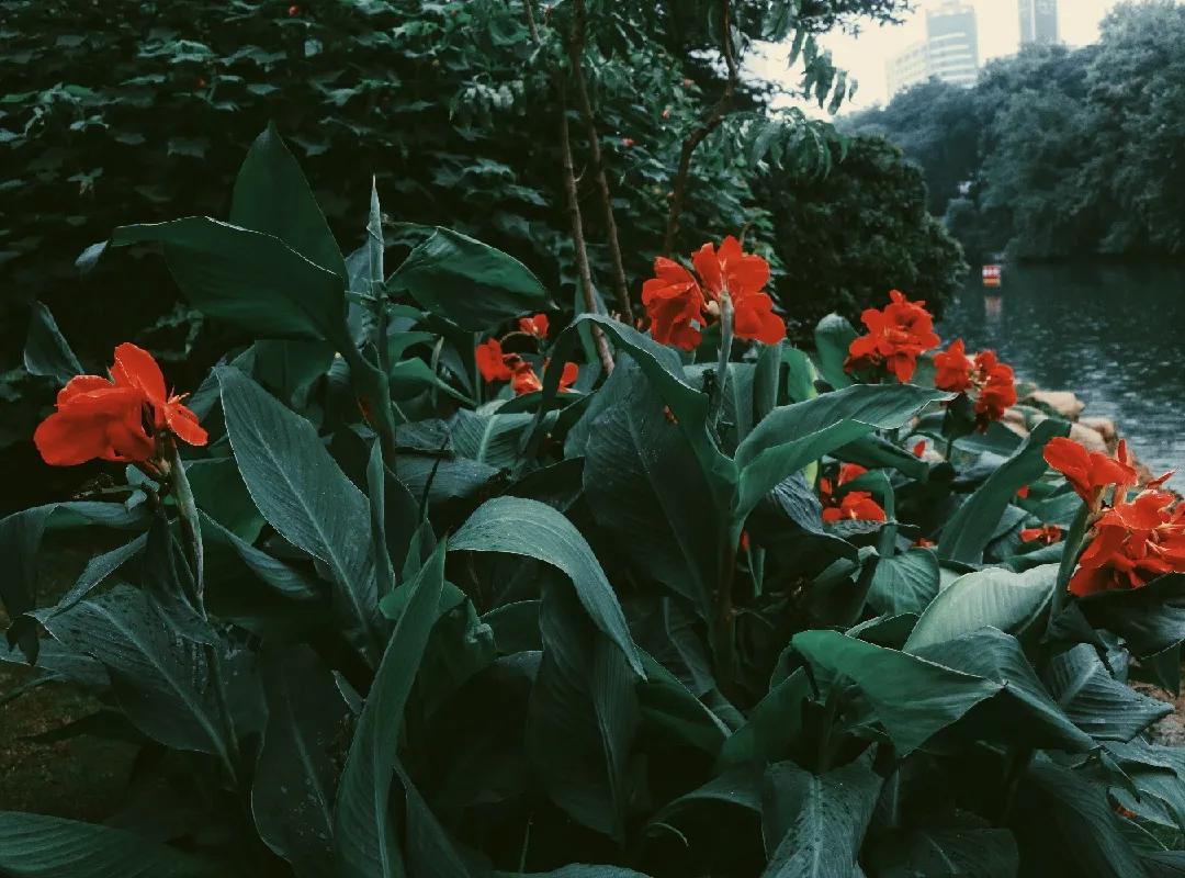 观银河,看银河听风吟的视频