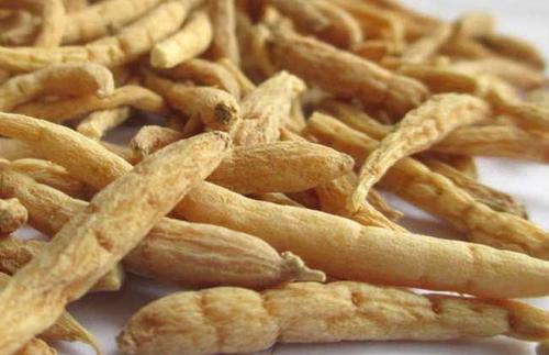 人参、西洋参、*党**参、太子参等这些中药！有何异同？一文说明白