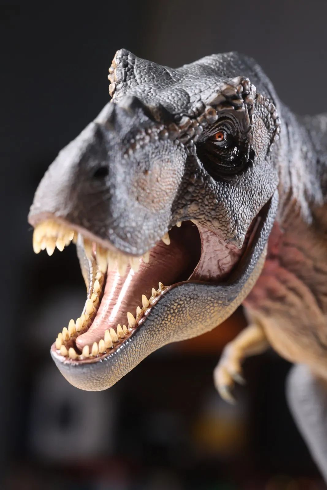 霸王龙出没！本心楠改TheOnceandFutureKing永恒之王模型入手