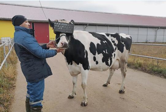 瑞克和莫蒂的vr版,瑞克和莫蒂vr用什么玩