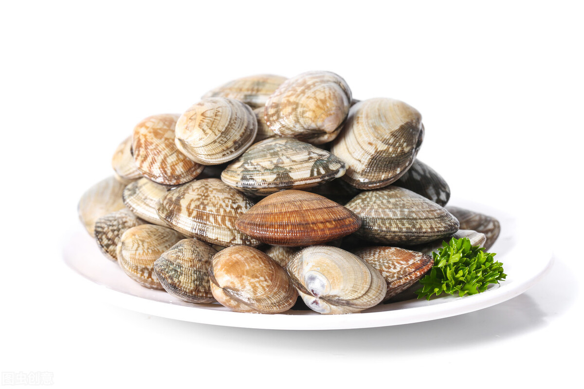 蛤蜊吐沙加油加盐,淡水加盐能让蛤蜊吐沙子吗