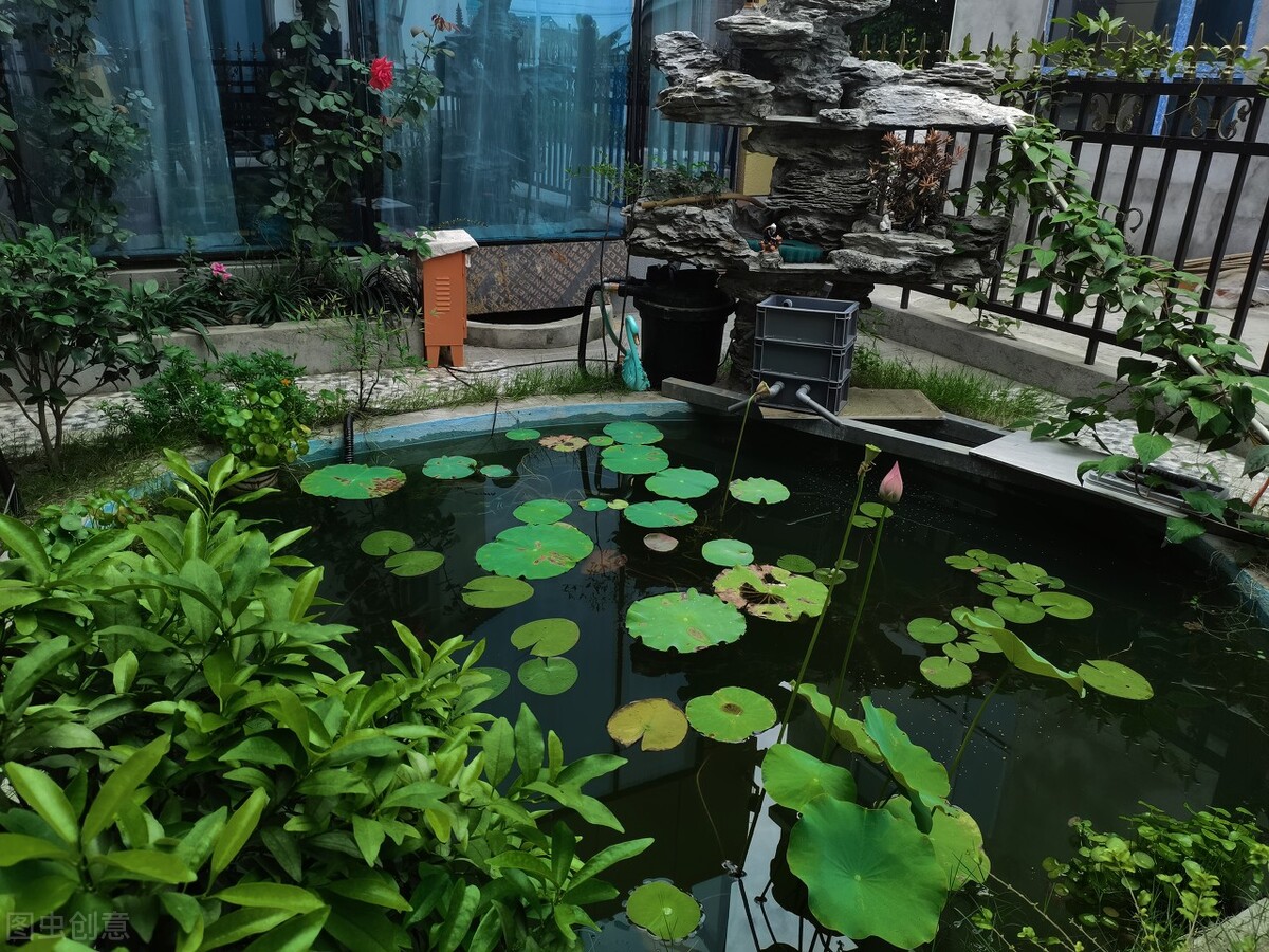 锦鲤鱼池用什么过滤最好呢,全自动过滤系统锦鲤鱼池施工方案