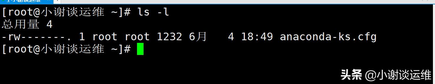 云计算自动化运维之Linux-ls命令详解