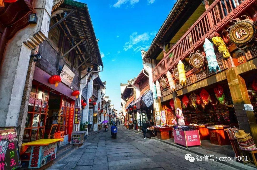 春天去哪里踏青省钱 (春季踏青美食攻略)