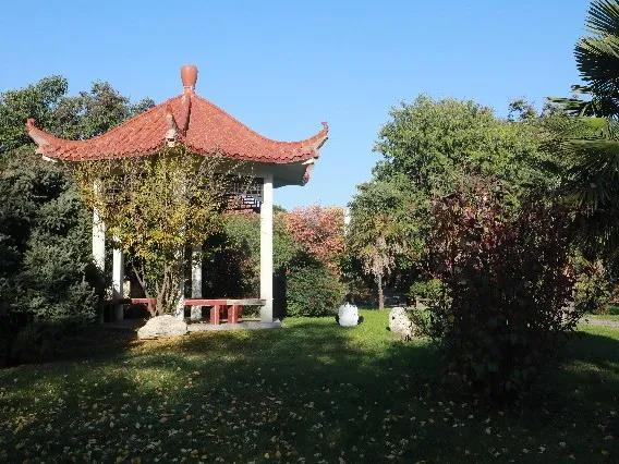 陕西最“豪华”大学之一!坐拥4大“网红”食堂,游泳馆、商业街一应俱全!