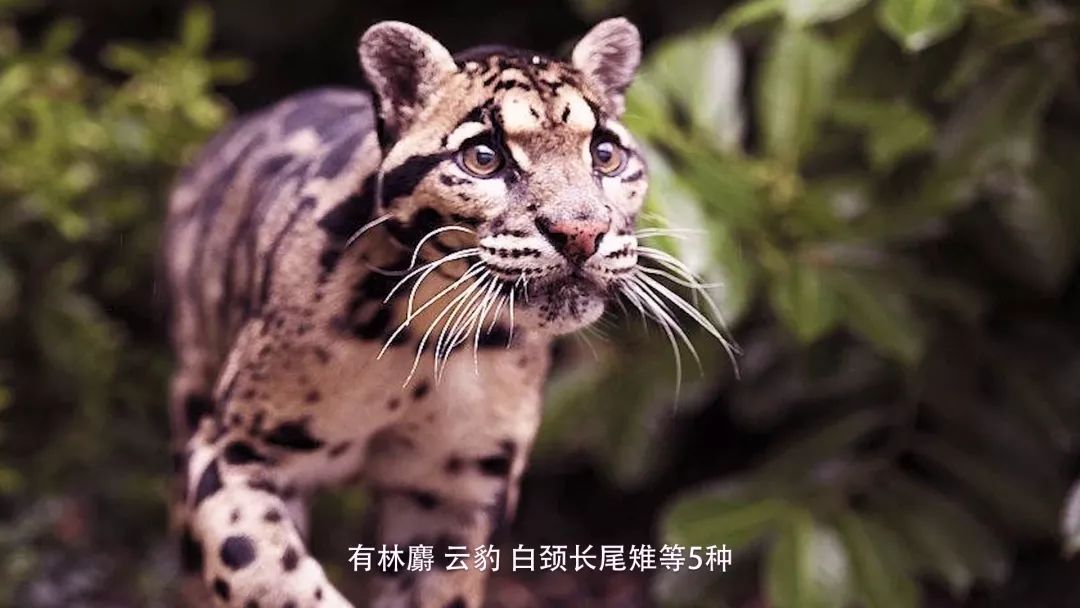 从世界地图看湖南,世界看湖南