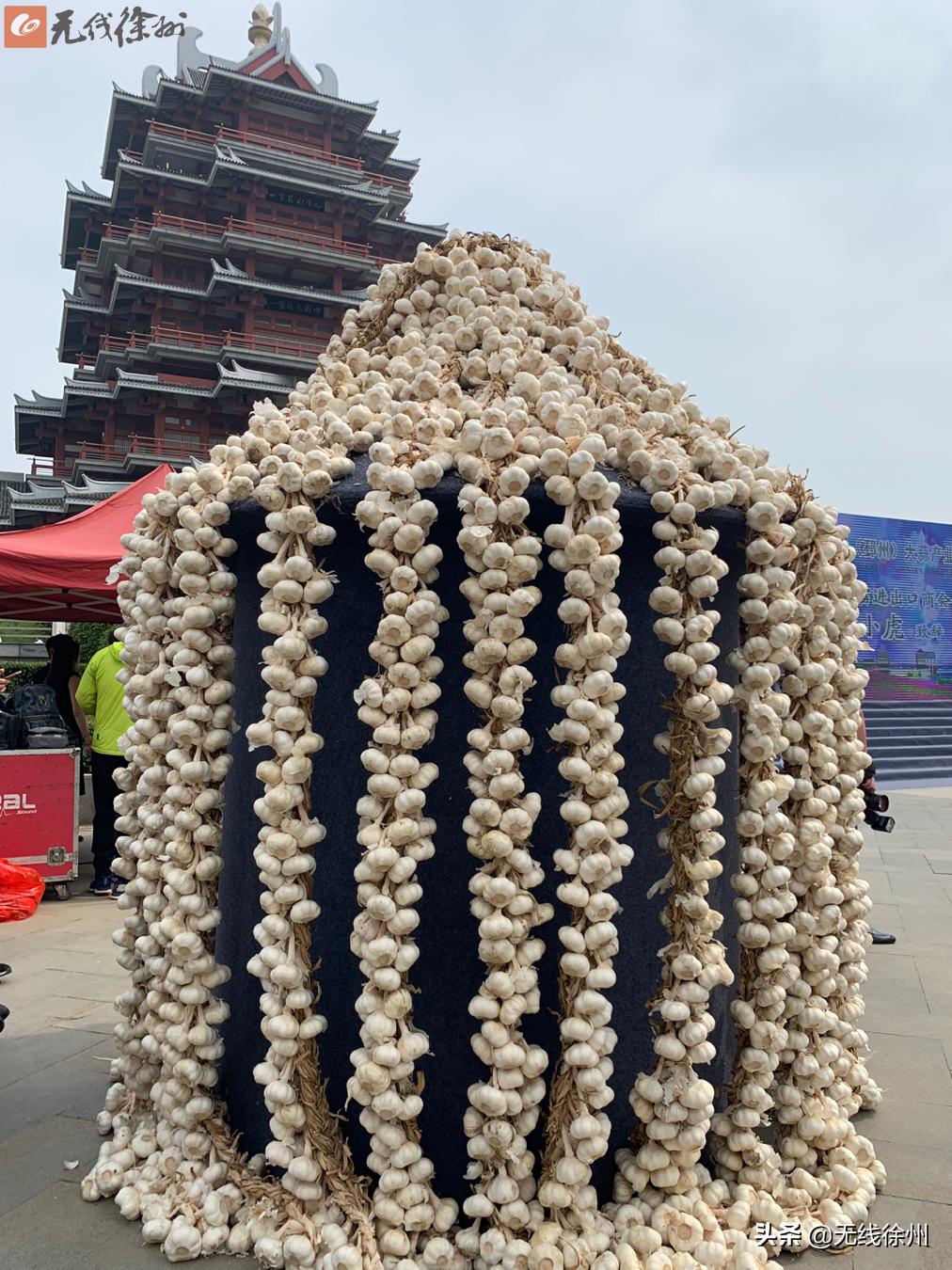 以蒜为媒:第二届国际(邳州)大蒜产业峰会举行