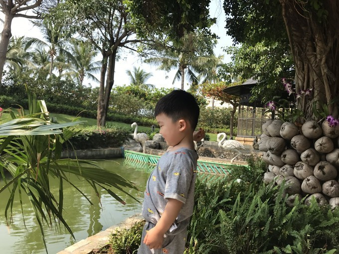 三亚的风景特别的美,感受一下三亚的气息和美景