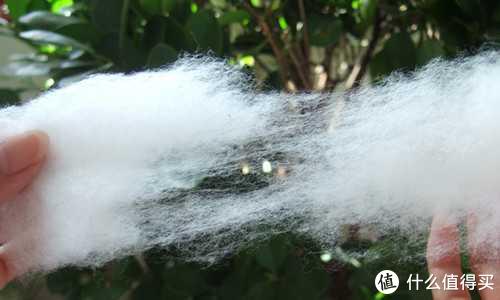 六款热销经典款T恤横向评比，哪款才是你的最爱