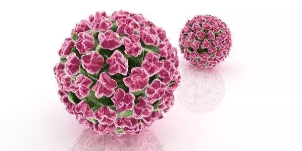接种hpv疫苗预防什么,hpv阳性58和68能打宫颈癌疫苗吗