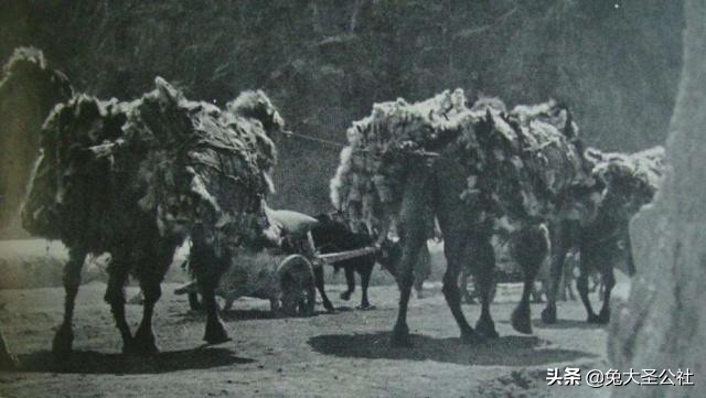 西南军阀贩毒往事：毒枭显得小儿科，*片鸦**堪称硬通货