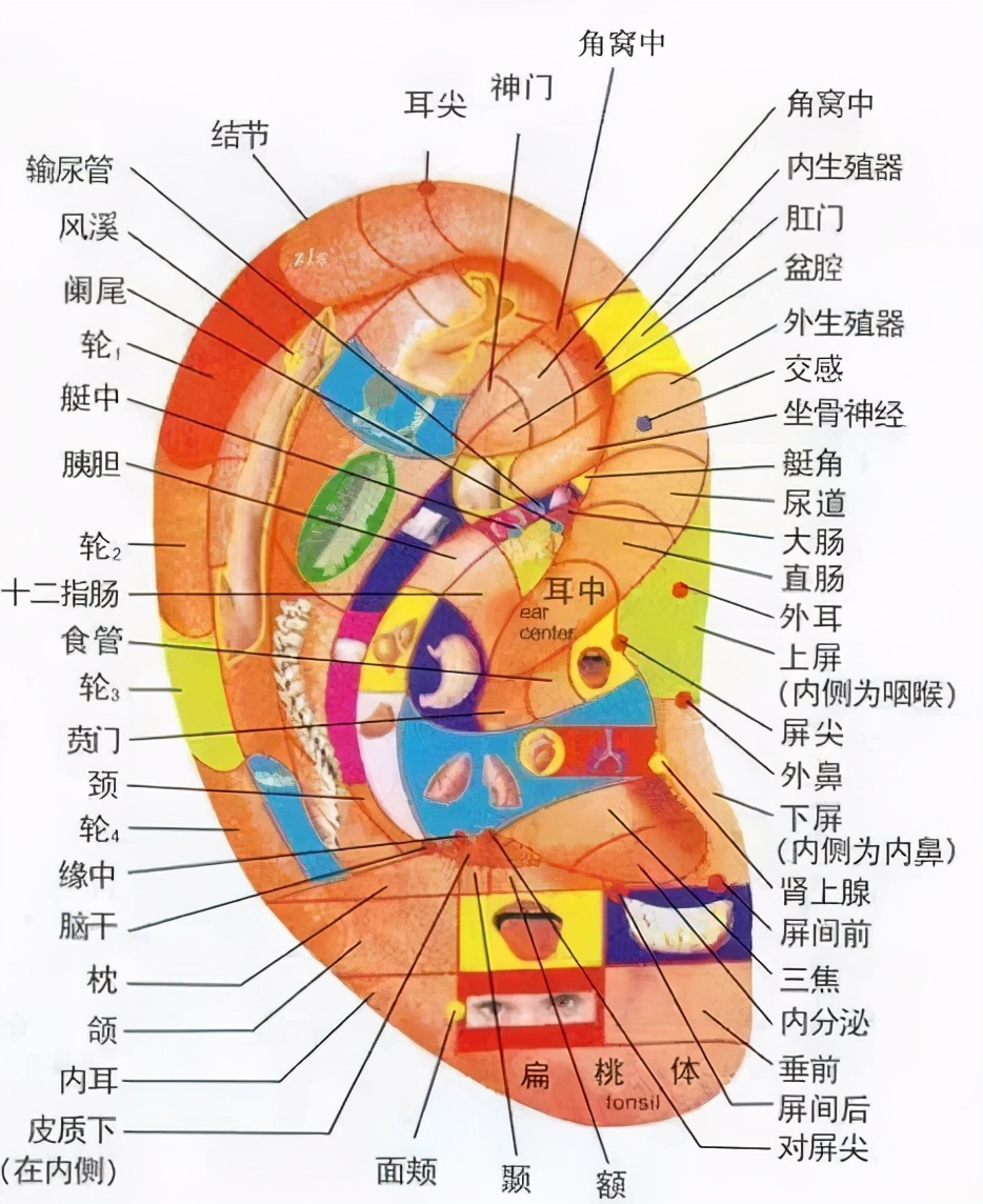 预防近视的推拿,耳穴压豆治疗近视600度