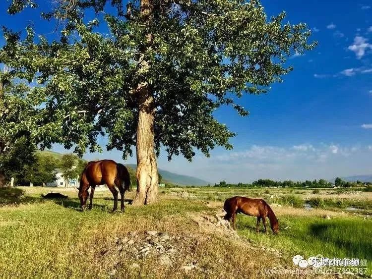非常有魅力的前辈,学习前辈