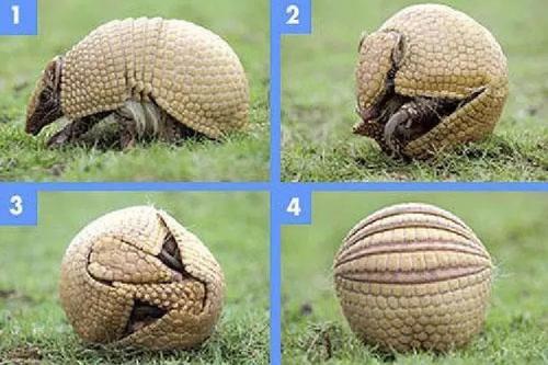 那些改变人类历史的疾病：麻风病（番外#1）