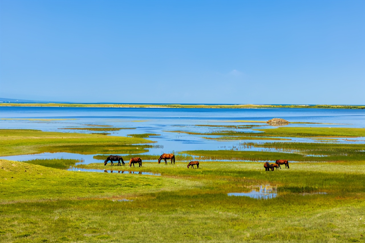 从青海到巴丹吉林沙漠，用实战解读EOSR5