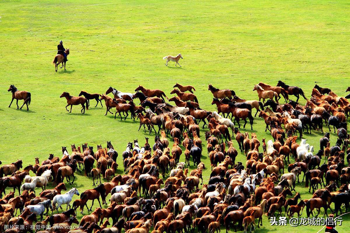 金帐汗国有哪些蒙古部落,正蓝旗金帐镇大营
