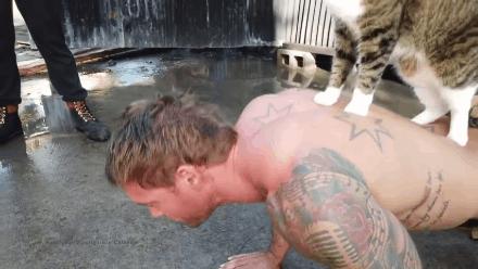 来了来了!他们带着猫猫又来了