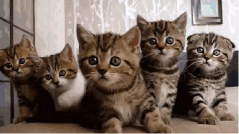 *草烟**微语丨昨夜今晨*草烟**事04.232021