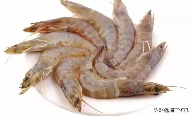 市场上最常见的十种淡水鱼,中国十大水产品排行榜