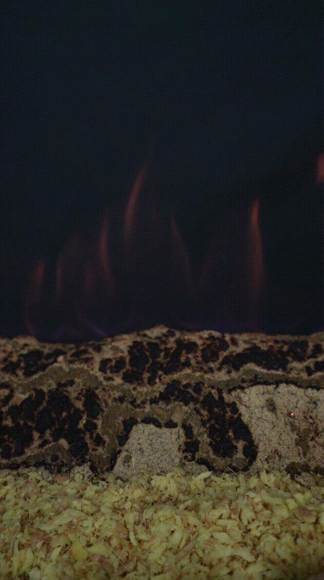 气温大跳水让你猝不及防,天气冷了艾灸更温暖