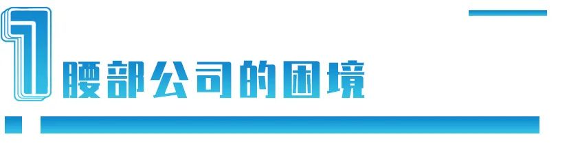 唯品会还是伪品会？沈亚为什么打不好电商战争