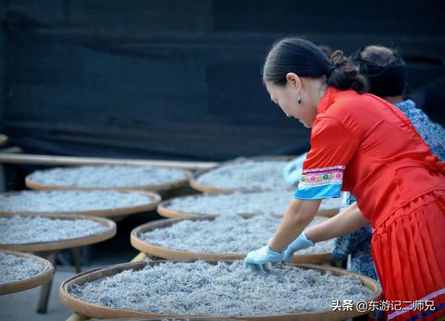 湖南永顺土家莓茶的功效与作用,张家界高档旅游特产土家莓茶